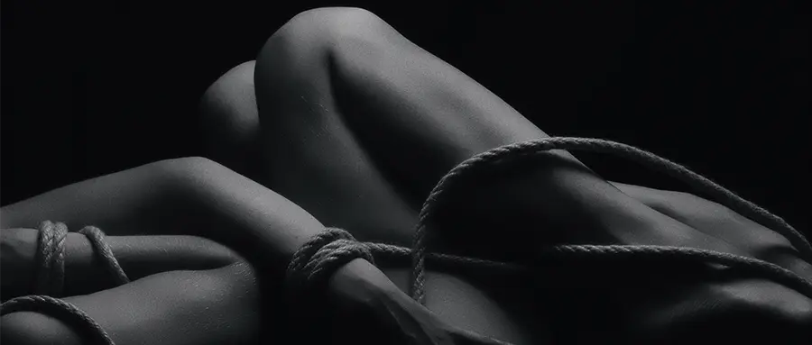 西檬之家s倾向的深度解析与实践指南 一