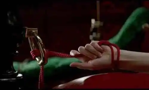 西檬之家switch属性是什么?字母圈新人必读指南 一