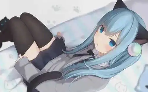 西檬之家k9犬系新手入门指南,了解与沟通的重要性 一