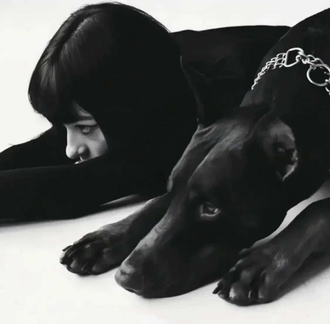 西檬之家k9犬系是什么?深入解析字母圈中的犬系文化 一