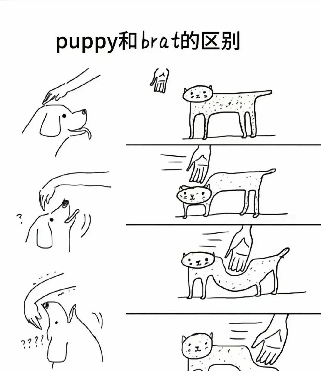 西檬之家字母圈K8猫系是什么? 一