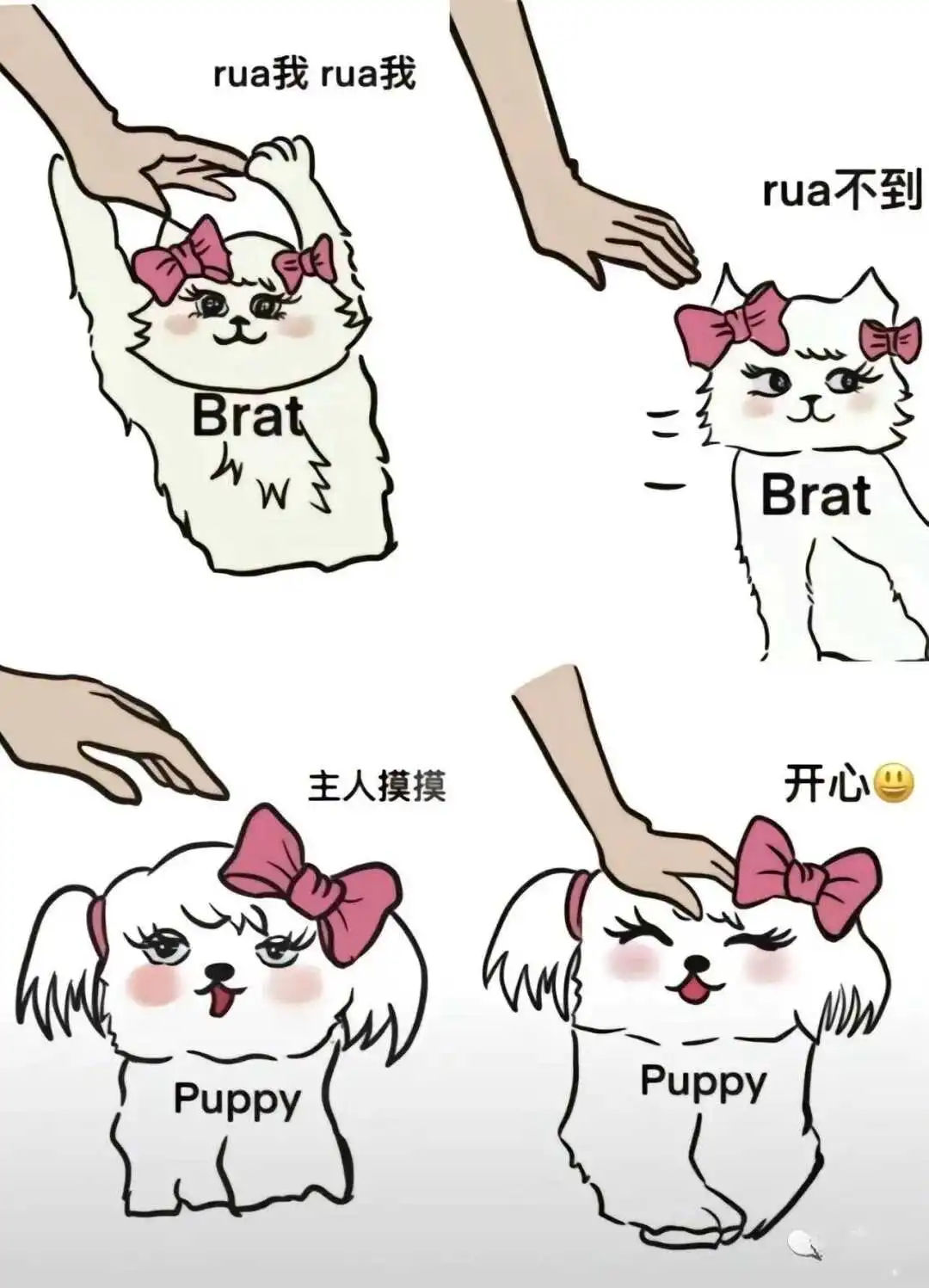 西檬之家TK挠痒痒是什么?字母圈新人玩前必读 一
