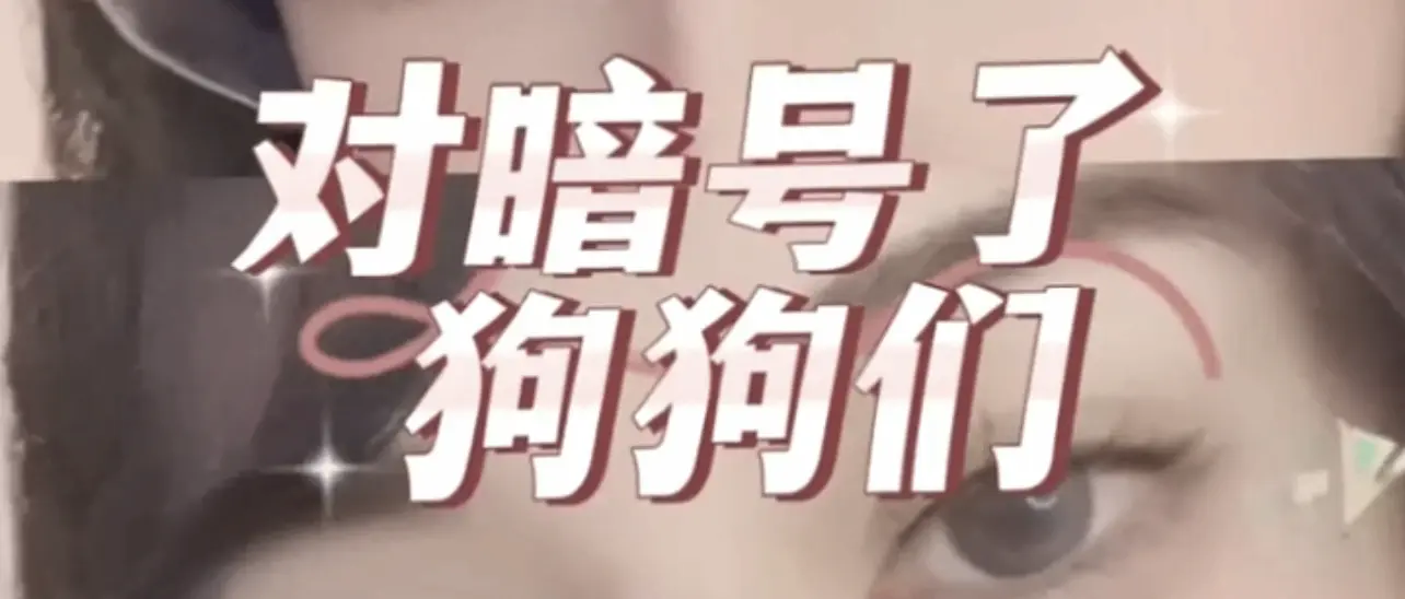 西檬之家-k9是什么? 一