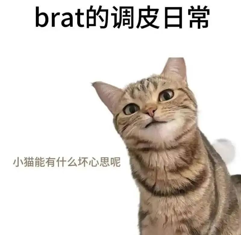 西檬之家字母圈FETISH恋物癖是什么意思? 一
