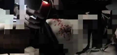 西檬之家字母圈里的S倾向是什么? 一