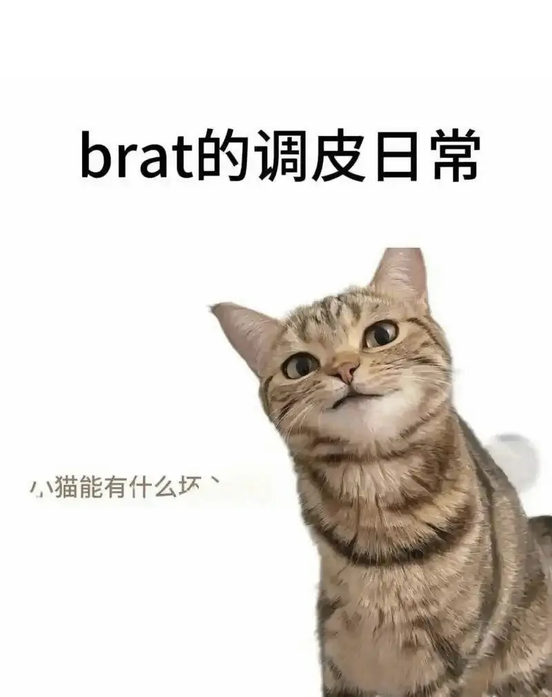 西檬之家圣水是什么?字母圈新人必须了解 一