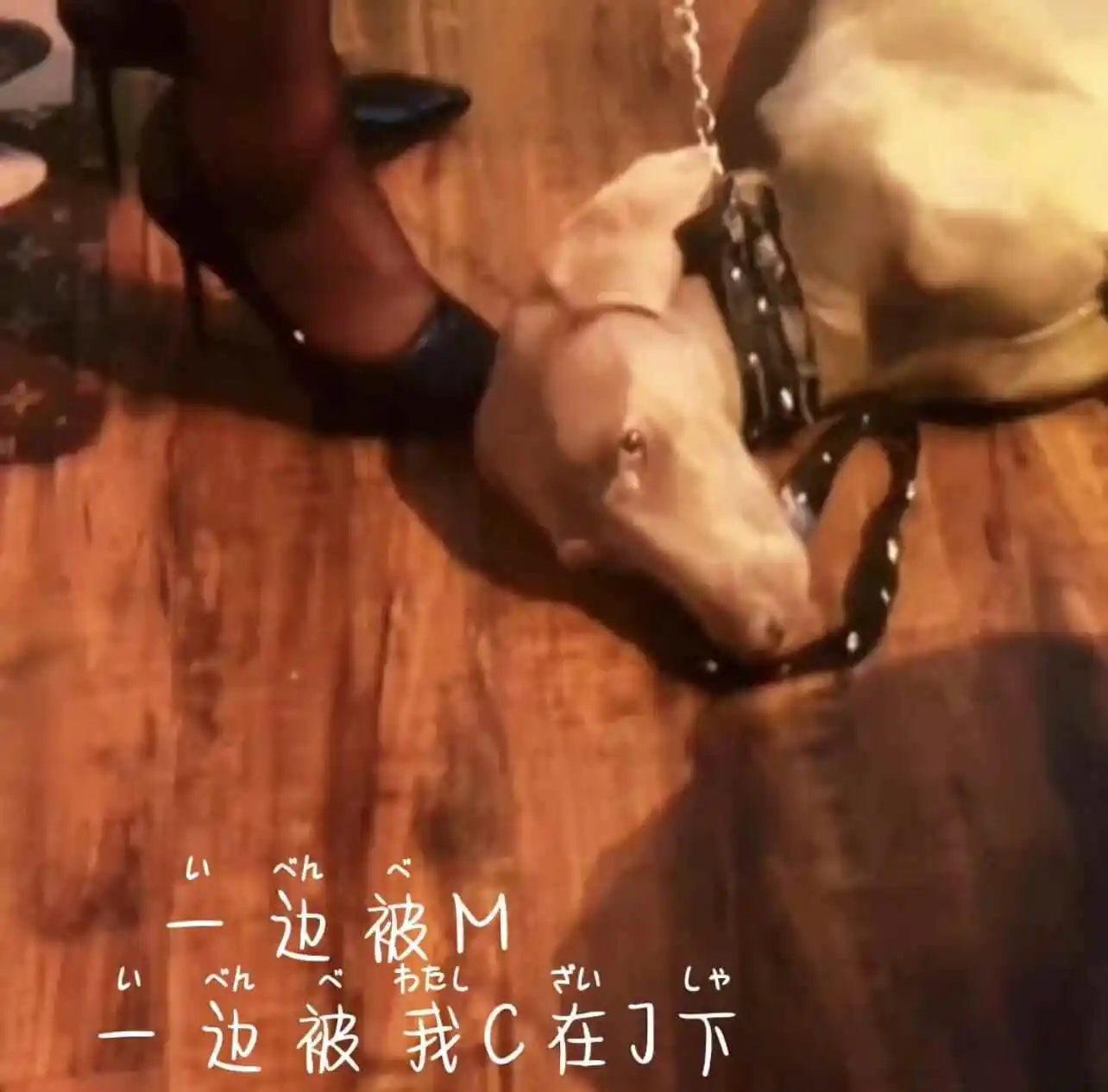 西檬之家恋足癖是怎么回事?字母圈新人入圈 一