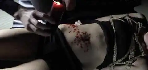 西檬之家字母圈管教指南 一